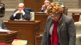 Missouri State Senator Jamilah Nasheed (D-St. Louis) on Gun Violence