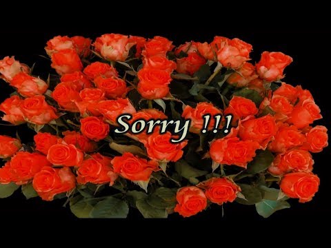 SORRY ! Entschuldigung – Es tut mir leid !