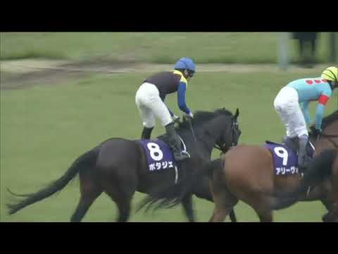 2022.04.03 Osaka Hai (JPN) - Potager.mp4