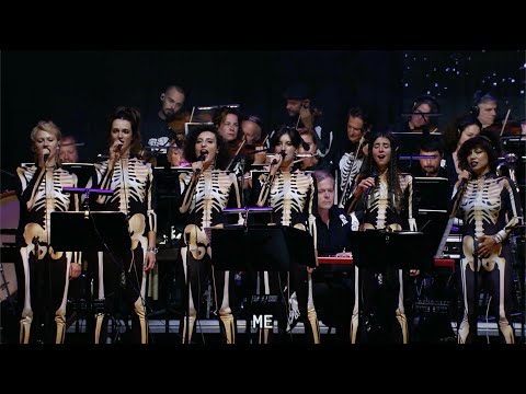 These Dreams Are Killing Me