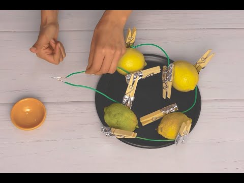 Limones eléctricos - Revista Mis Amigos
