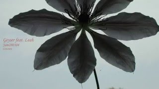 Geyser - Jam280304 (Official Audio)