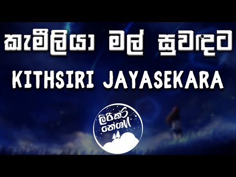 Kameliya Mal Suwadata - (කැමීලියා මල් සුවඳට) - Kithsiri Jayasekara [lyrics video]