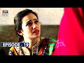 Paiwand Episode 19 | Sana Javed | Ahmed Ali | ARY Digital
