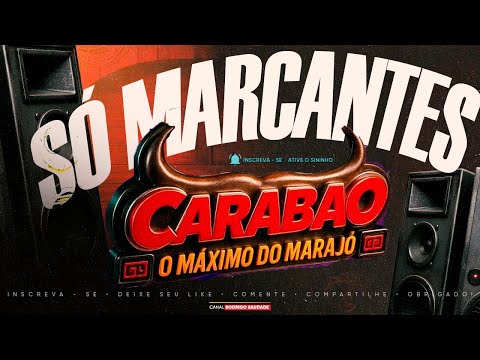 NOVO CARABAO SÓ MARCANTES 2025 I DJ DALTON AO VIVO VILA PRIME I NOVO CARABAO O MÁXIMO DO MARAJO 2025