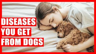 10 Diseases You Can Get if You Sleep with Dogs