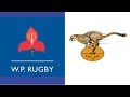 1997 Currie Cup Final Western Province Vs Freestate