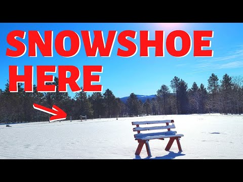 Snowshoe in the Beautiful Black Hills  | Tristan about Town