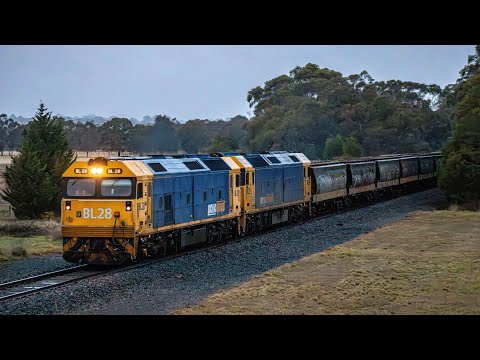 BL28 and BL29 through the wet on 9157 Manangatang Grain- 9/7/24