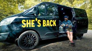 CHILLED van camp with world's BEST dog 🐶
