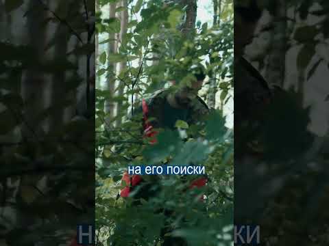 Мальчик спал На Холме, Пока его Искали Все