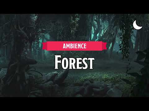 Forest (Night) | D&D/TTRPG Ambience | 1 Hour