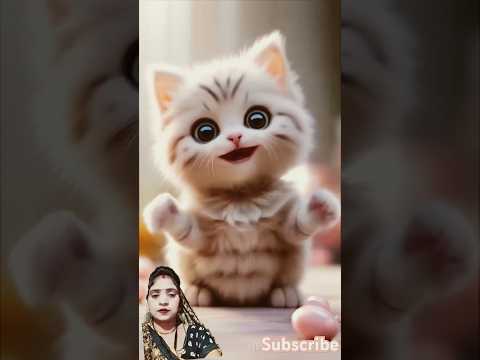 Funny Reshu Bhabhi #sortvideo #funnyvideo #funny #funnycat #cute #funnyvideo #cat 👍👍👍🙏🙏🙏