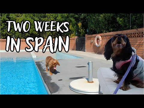 UMAS FÉRIAS EM BARCELONA