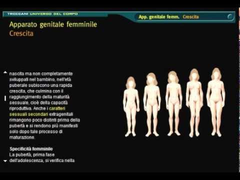Mobili ricoperti e parassiti Come trattare vermi alle madri nutrenti