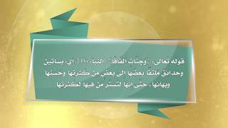 تفسير سورة النبأ (18:14)- المحاضرة 3- التفسير - المستوى الثاني (2) - د.قشمير بن محمد بن متعب القرني image