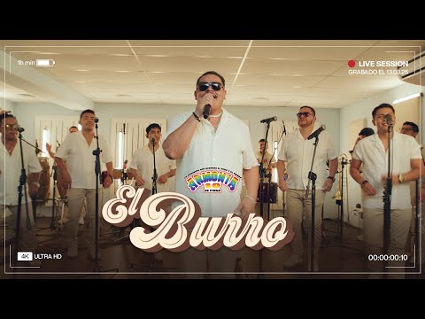 El Baile Del Burro - Armonia 10