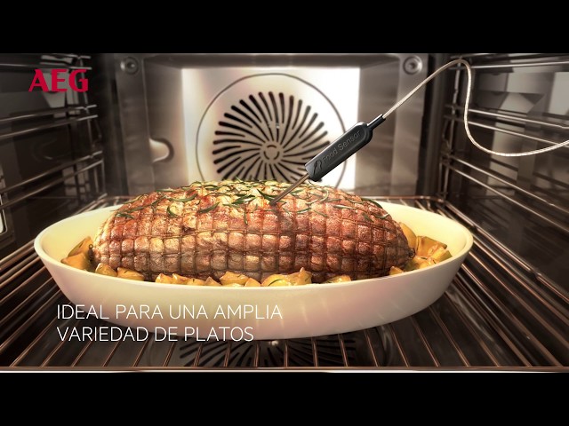 AEG BSE782320M Horno Multifunción de Vapor 70L Acero Inoxidable video