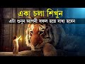 একা চলা শিখুন তবে জীবনে সফল হতে পারবেন