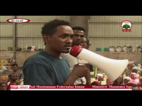 Haacaaluu Harargee 03 03 2010