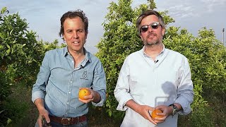 CrowdFarming, la plataforma que quiere alimentar mejor a Europa