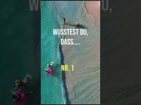 Wusstest Du, dass der Familienurlaub …..