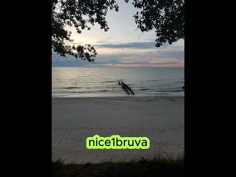 Shaggy - It Wasn't Me (Tenchi, Embody & Miss Kena Extended mix)