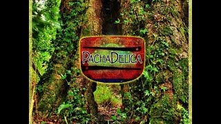 Pachadelica - Consciencia (full album)