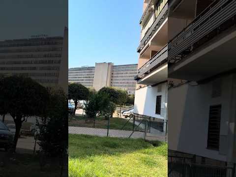 Calle Pintor Espinosa: nido en quinta planta cerca del Hospital Provincial.IAS-CSIC, 6 de julio.