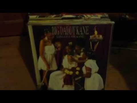 hip hop vinyl collection part 1 ( vinyl albums)