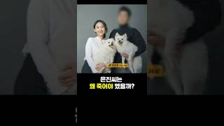 Download lagu 'Unanswered Questions' Kim Eun-jin Case, why did she have to die like that? mp3