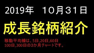 【株式投資】2019年 10月 31日 成長銘柄を厳選２銘柄紹介