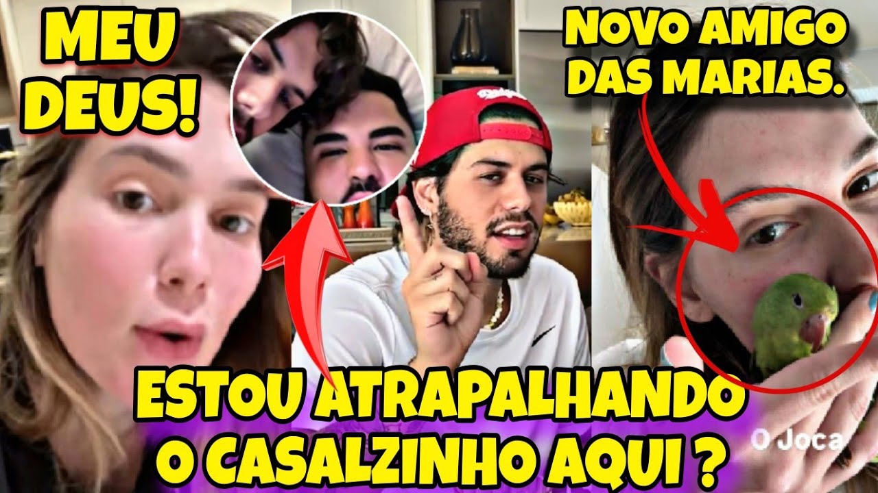 📌JOCA,CONHEÇA O NOVO AMIGUINHO DAS MARIAS! VIRGÍNIA PEGOU ZÉ FELIPE NO FLAGRA COM LUCAS GUEDEZ!