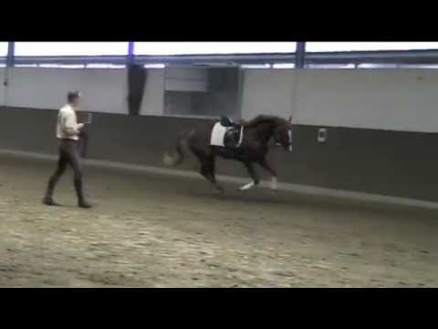 Scolari Federweisser