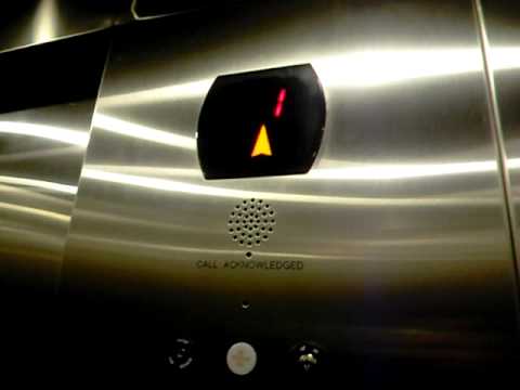 Otis 2000H Hydraulic Elevator to Plaza/Rotunda/Street, Sterling, & Field Levels - Citi Field