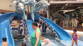 preview picture of video 'Swimming time at Edmonton mall 2017'