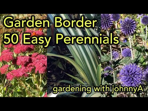 50 Easy Care Perennial Border Plants - Soil Improvement and Maintenance Tips
