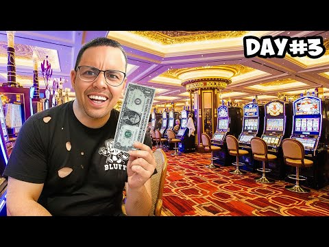 Bluffvlogz and Bluff