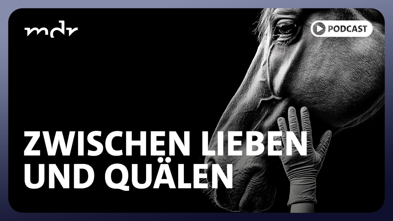 Zwischen Lieben und Quälen – hinter den Kulissen des Reitsports | Podcast MDR INVESTIGATIV | MDR