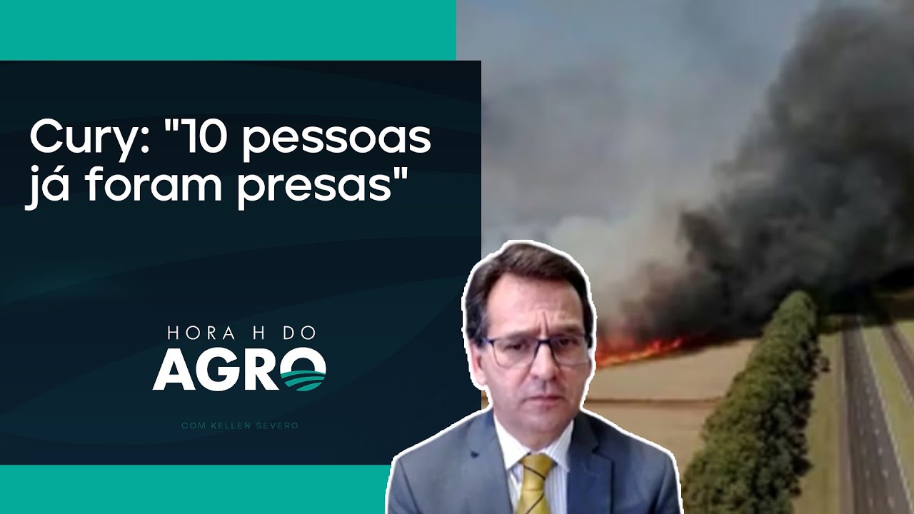 O que está por trás dos incêndios criminosos em SP? | HORA H DO AGRO