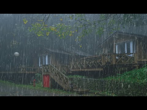 Just Close Your Eyes, Rain Sound in Misty Forest Will Put You to Sleep Immediately in 3 Minutes