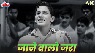 Download lagu Jaanewalo Zara Mud Ke Dekho Mujhe 4K Song | Mohammed Rafi | जाने वालों ज़रा मुड़ के देखो मुझे | Dosti mp3 Download lagu Jaanewalo Zara Mud Ke Dekho Mujhe 4K Song | Mohammed Rafi | जाने वालों ज़रा मुड़ के देखो मुझे | Dosti mp3