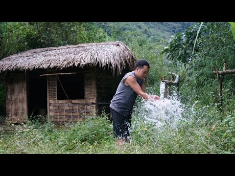 First Primitive Year at the Hut