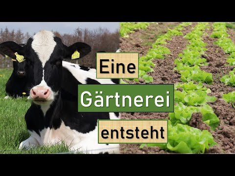 💪 Hier entsteht eine SoLaWi Gärtnerei 🌱 Das Hofkollektiv in Wipperfürth 🚜 Landwirtschaft im Wandel 🐄