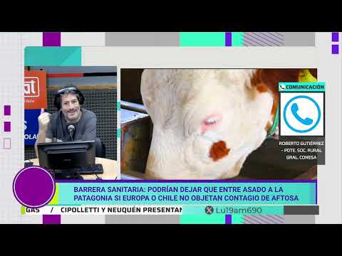 Barrera Sanitaria: todo sigue igual hasta tener respuesta de la Unión Europea y Chile