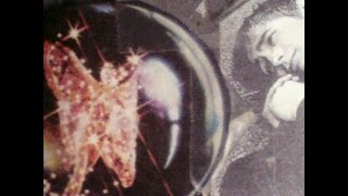 PHOENIX - SUMMER DAYS (tribute bathroom singer Jiberock)