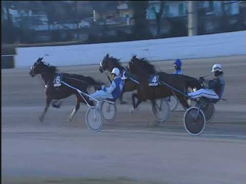 Trotto 11/01/2019 - 2ª corsa