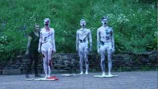 Movement and Abstraction : Aves - In Colour