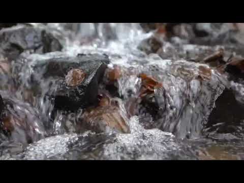 20 Minute Flowing River Sounds for Sleep & Relaxation