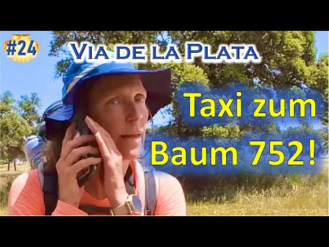 #24 MOBILFUNK in Spanien 📲 || Via de la Plata 2022 - Etappe 01 | JAKOBSWEG alleine pilgern